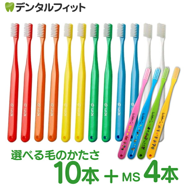 タフト24 歯ブラシ 歯科医院専用　50本 タフト24（歯ブラシ） - Oral-Health Navi