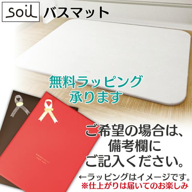 【送料無料】soil(ソイル) 珪藻土 バスマット ライト 1枚_3