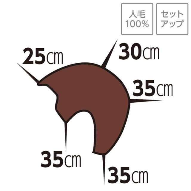 送料無料】Ci セットアップ ウィッグ 81 2個【人毛100％ アップ カラー