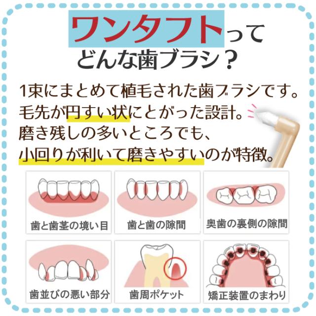 ワンタフトブラシ「Miclin−ミクリン−」 / ふつう 1箱(50本)【Ciメディカル 歯ブラシ】_4