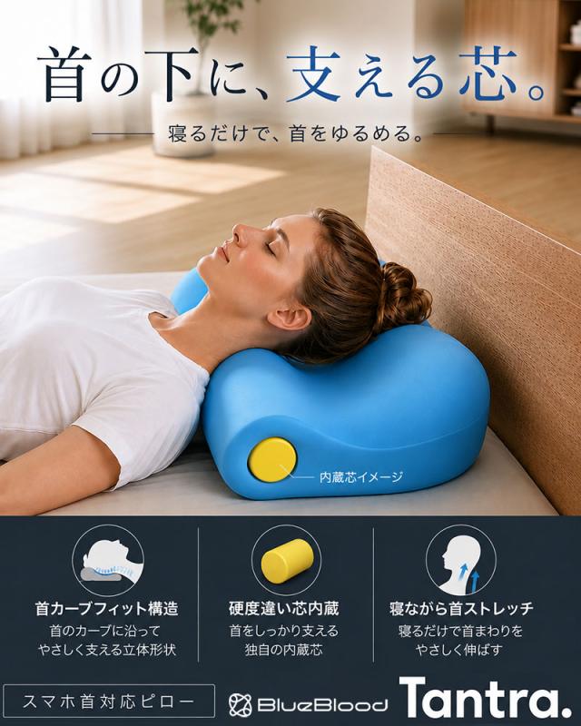 枕 芯で支える ストレートネック ピロー ブルーブラッド タントラ