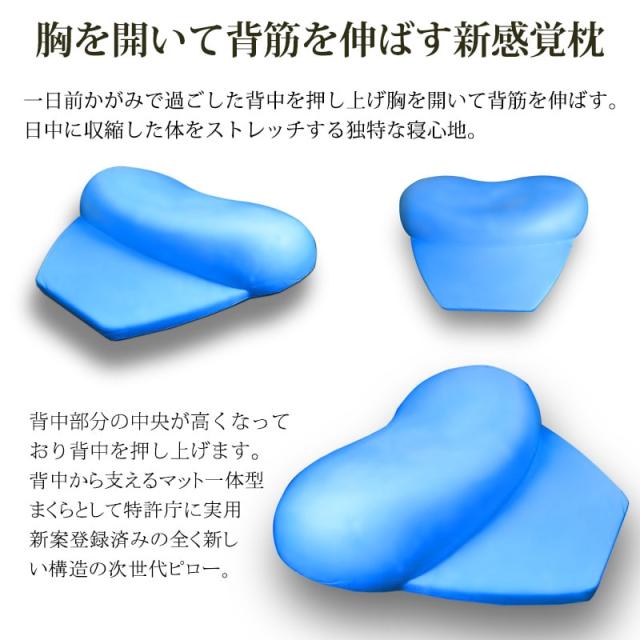 3点セット】Blue blood ブルーブラッド 枕 セット BlueBlood