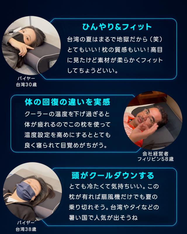 枕 ひんやり枕 BlueBlood サイバーチルピロー 頭を冷やす ‐19℃の冷却枕