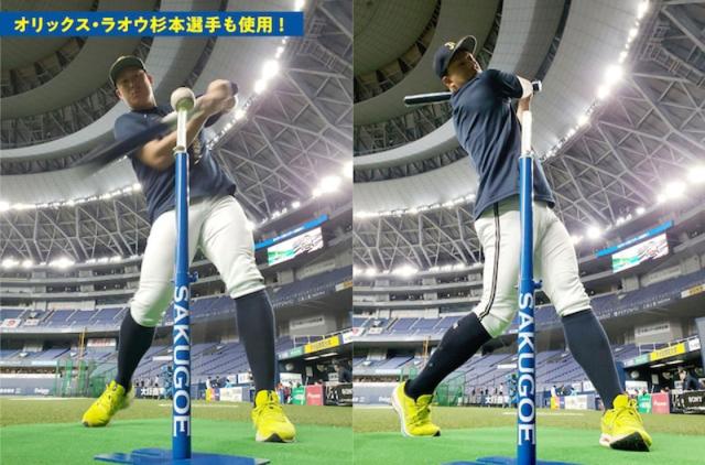 SAKUGOE ver.12 バッティング 置きティー 楽天市場】ハング HANG SAKUGOE ver.XII PUT式置きティースタンド