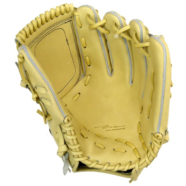 Ip Select 硬式投手用 アルモニーア 収納袋付き アイピーセレクト アイピーセレクト 投手用(袋付き) Ip Select 硬式投手用 アルモニーア