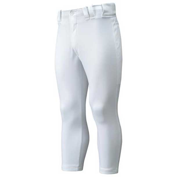 ミズノ MIZUNO ミズノプロ パンツ レギュラータイプ(野球) (01ホワイト) 野球 ウェア ユニフォームパンツ (12JD6F01)の通販は 7,408円