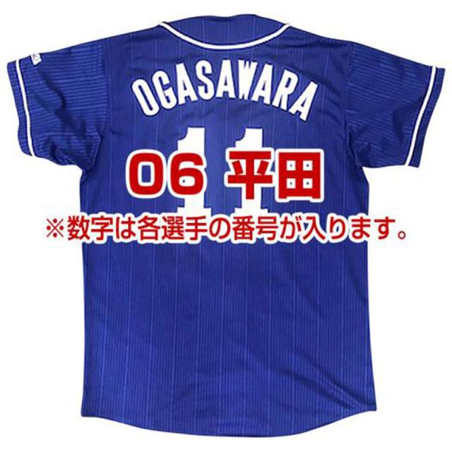 ミズノ MIZUNO Dragonsレプリカユニフォーム(ビジター/番号/個人名有り) 野球 球団グッズ 中日ドラゴンズ (12JRMD33)の通販は 5,893円