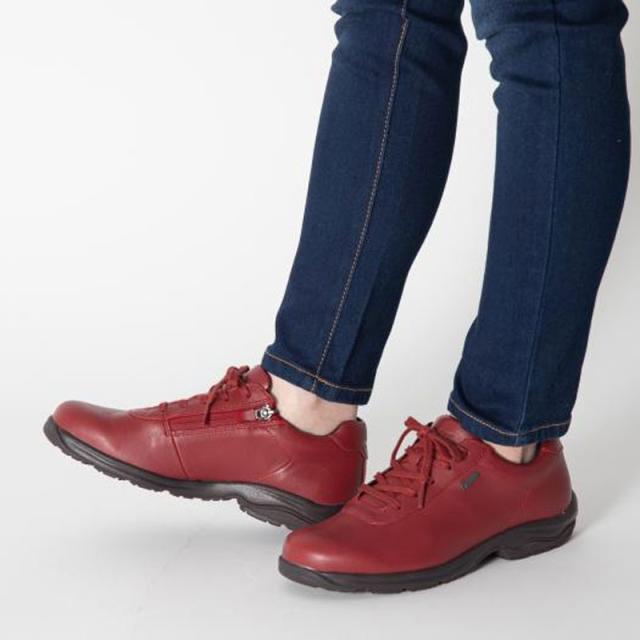 ミズノ MIZUNO LD40 VI GTX(ウォーキング) ユニセックス/ウィメンズ ウォーキング シューズ ウォーキング (B1GD2207)の通販は