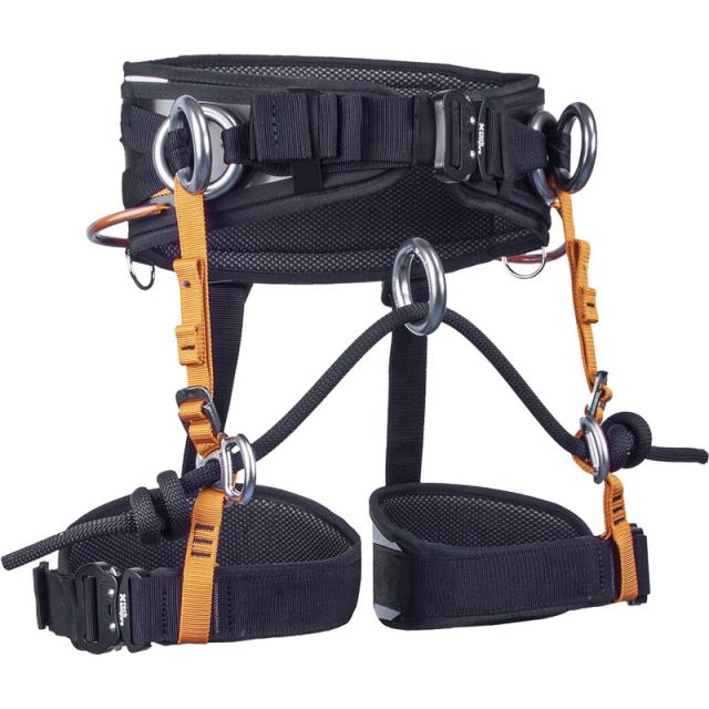 rockempire(ロックエンパイアー) スキルツリーII アウトドアグッズ (recut004)