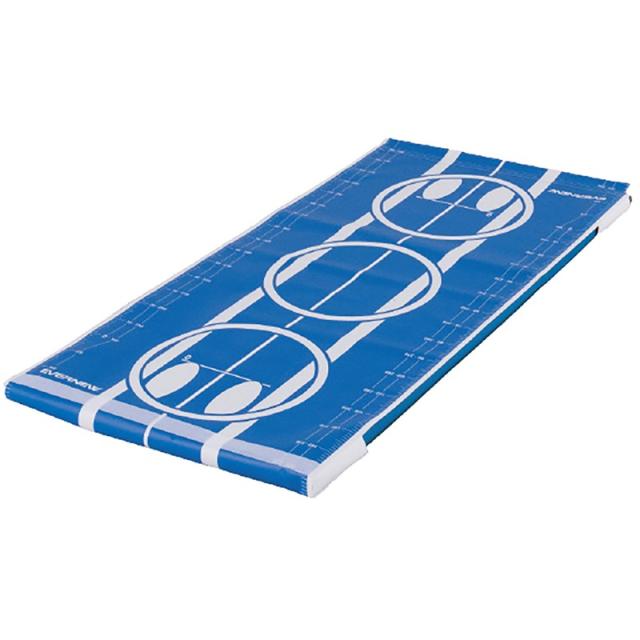 (代引き・個人宅・北海道・沖縄への配送不可)エバニュー(evernew) タイソウマットヨウオクナイマルチカバー+ ガッコウキキマット (ekm531)