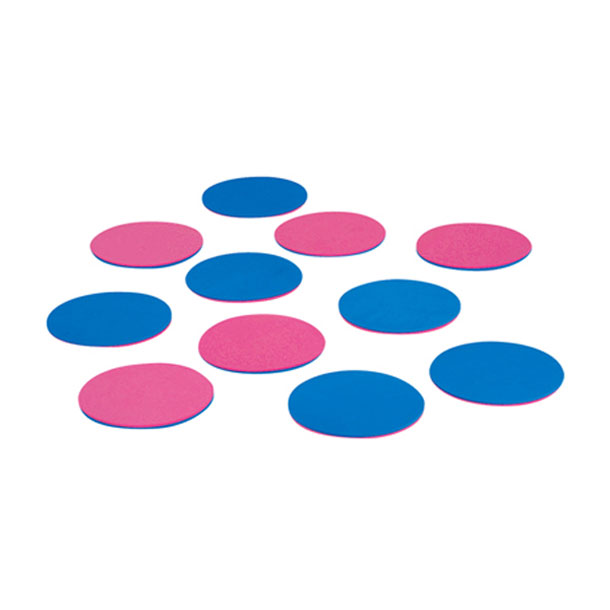 エバニュー Evernew 屋内スポーツリバーシ(10枚1組) 学校機器 (ETE092)