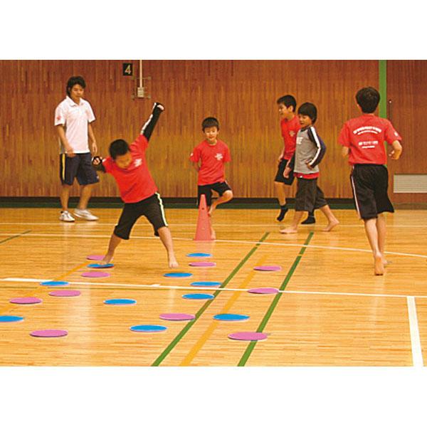 エバニュー Evernew 屋内スポーツリバーシ(10枚1組) 学校機器 (ETE092)の通販は