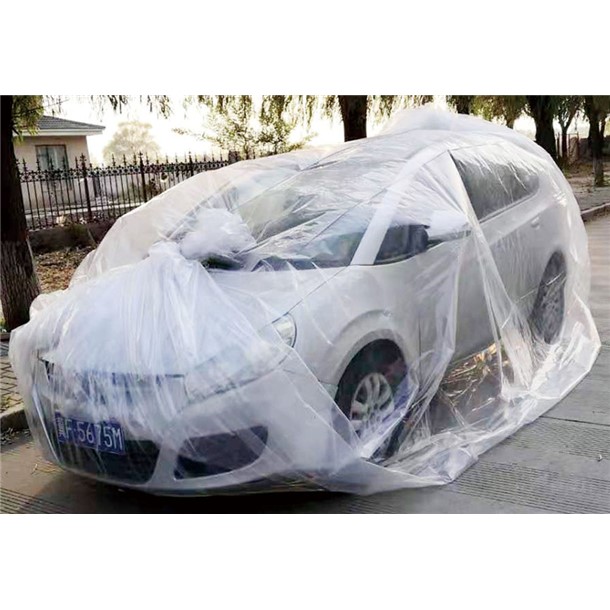 ハタ HATAS コウズイタイサクチョウオオガタギガBAG スポーツ グッズ (lgb145)