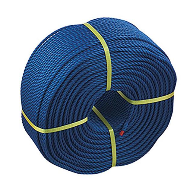 三和体育 グランドロープ6-200 アオ5A 学校機器 器具 (s2879)