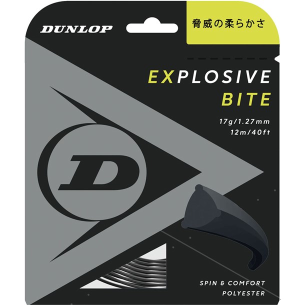 ダンロップテニス dunlop EXBITE RL DST12011 テニス硬式 ガット (dst12011-079)の通販は