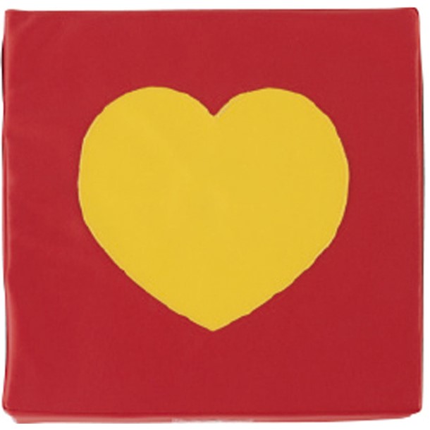 エバニュー Evernew JPクッションKSX500 + 学校機器マット (ete184-100)