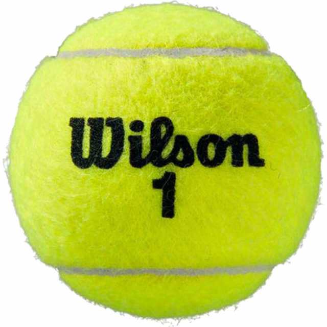 【ロット販売：入り数24】 Wilson(ウイルソン) ROLAND GARROS CLAY TENNIS BALL テニス 競技ボール 硬式 (wrt125000)