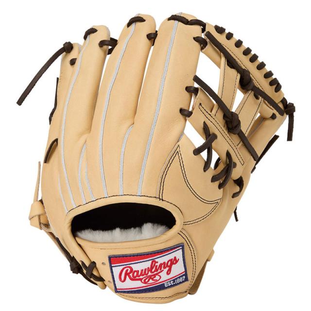 ローリングス Rawlings 軟式 HOH プロエクセル FS NP6FS CAM 軟式用
