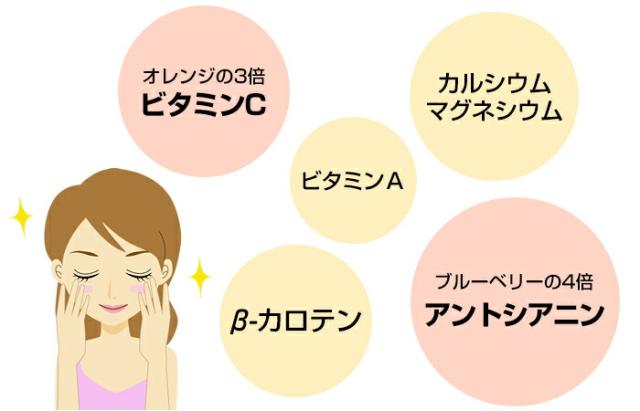 【ニュージーランド産】カシスパウダー 粉末 50g×10袋セット ノンカフェイン アントシアニン スーパーフード かしす 送料無料 お茶 父の日 御中元 2026 ギフト プレゼント 内祝い お返し 贈り物 土産 贈答_4