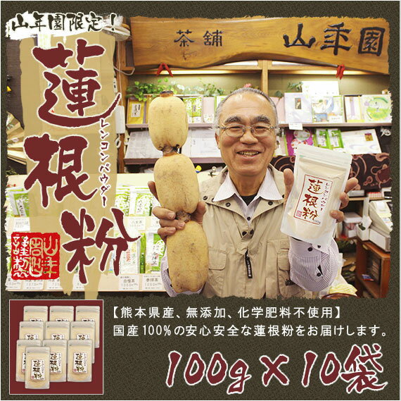【国産100%】【無添加】れんこんパウダー 蓮根粉 100g×10袋セット 熊本県産 れんこん 粉末 れんこん粉 レンコンパウダー 蓮根 送料無料 お茶 父の日 御中元 2026 ギフト プレゼント 内祝い お返し 贈り物 土産 贈答