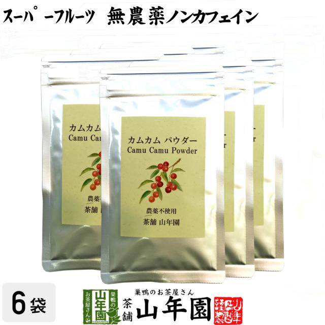 【無農薬】カムカムパウダー 50g×6袋セット ペルー産 粉末 ノンカフェイン ビタミンC ヨーグルト スムージー 苗 サプリ 健康茶 送料無料 お茶 父の日 御中元 2026 ギフト プレゼント 内祝い お返し 贈り物 土産 贈答