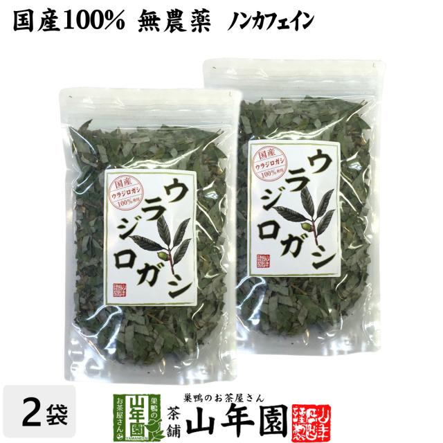 【国産 100%】ウラジロガシ茶 100g×2袋セット 宮崎県産 ノンカフェイン 無農薬 ウラジロガシ 健康茶 妊婦 ダイエット 送料無料 お茶 お中元 敬老の日 2025 ギフト プレゼント 内祝い お返し 贈り物 土産 贈答