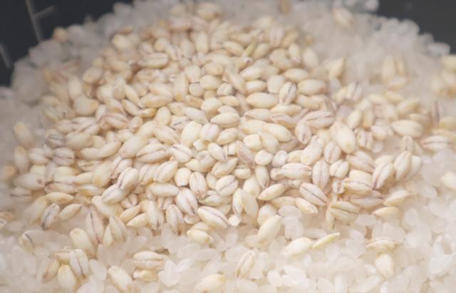 【国産】もち麦 キラリモチ 500g×10袋セット 白い麦 送料無料 お茶 父の日 御中元 2026 ギフト プレゼント 内祝い お返し 贈り物 土産 贈答_5