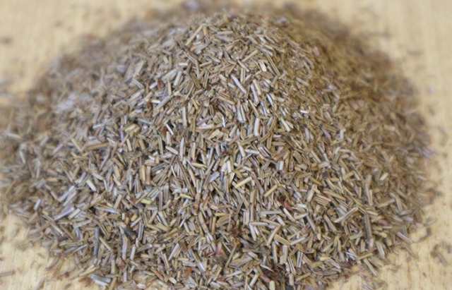 無農薬100% 中国産 無農薬 松葉茶 100g×10袋セット プレミアム特典で送料無料 ハーブティ 松の葉茶 まつば茶 マツバ茶 赤松の葉 飲みやすいお茶 健康茶 クロロフィル 葉緑素 ケルセチン テルペン精油 α−ピネン ギフト プレゼント お茶 バレンタインデー 2025 プチギフトの通販は
