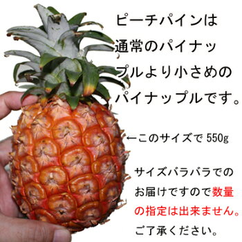 ピーチパイン パイナップル 約15 0kg 沖縄産 フルーツ ギフト 果物 フルーツ 野菜 訳あり フルーツ 果物 母の日 ギフト の通販はau Pay マーケット 沖縄うまいもの屋 長浜商店