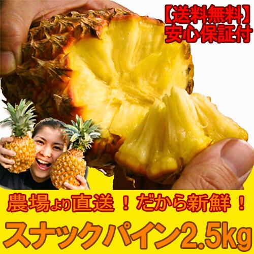 スナックパイン パイナップル 沖縄産 約2 5kg 送料無料 フルーツ 果物 ギフト 果物 フルーツ 野菜 訳あり フルーツ 果物の通販はau Pay マーケット 沖縄うまいもの屋 長浜商店