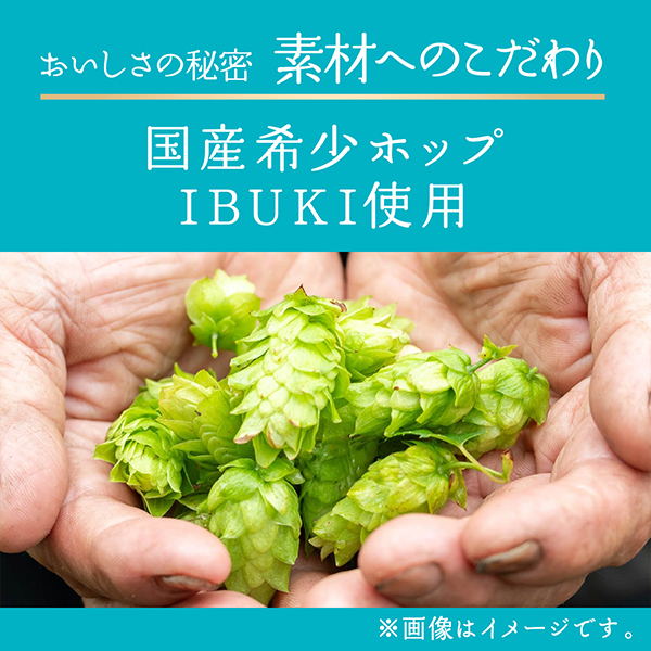 ビール 送料無料 キリン 晴れ風 350ml×2ケース/48本(048)『IAS』の通販