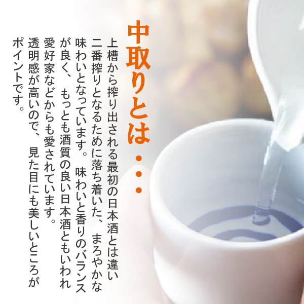 日本酒飲み比べセット 1800ml 送料無料 名城 最強6本飲み比べ 1.8L×6本『OMS』_3
