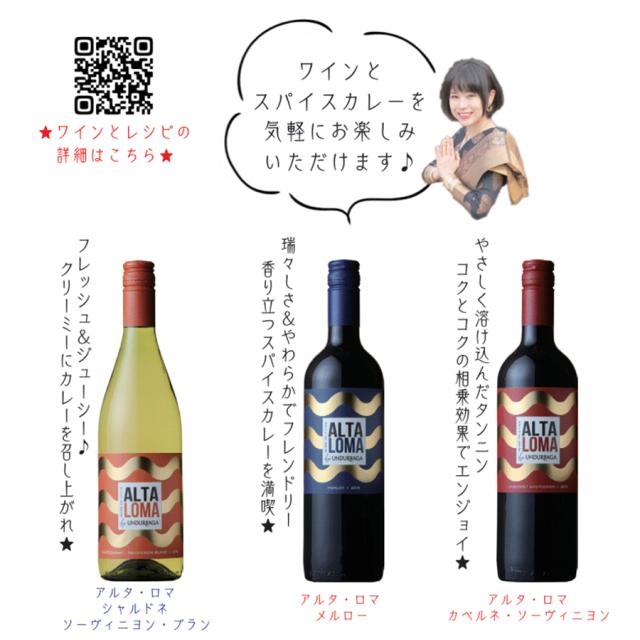 カレー専用ワインセット スマプレ会員 送料無料 みじん切りチョッパー  