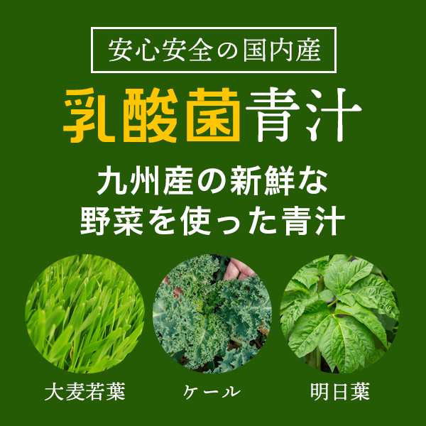 青汁 乳酸菌 粉末タイプ Pontaパス会員 送料無料 3種の九州産野菜青汁＋乳酸菌 3g×20袋×5個/計100袋(005)の通販はau PAY  マーケット - お酒のビッグボス | au PAY マーケット－通販サイト