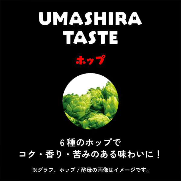 【予約6/2発売】送料無料 アサヒ EGA BEER エガビアー 350ml×3ケース/72本(072)『CSH』 江頭2:50 共同開発 エガビール_3