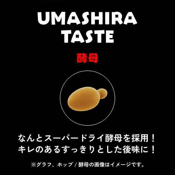 【予約6/2発売】送料無料 アサヒ EGA BEER エガビアー 350ml×3ケース/72本(072)『CSH』 江頭2:50 共同開発 エガビール_4