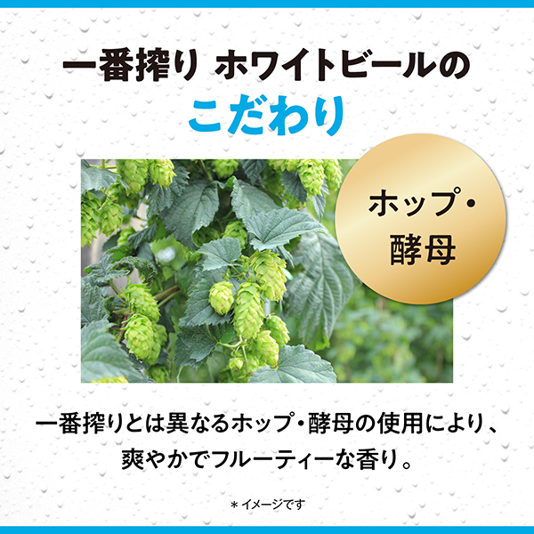 送料無料 キリン 一番搾り ホワイトビール 350ml×2ケース/48本(048)『CSH』_6