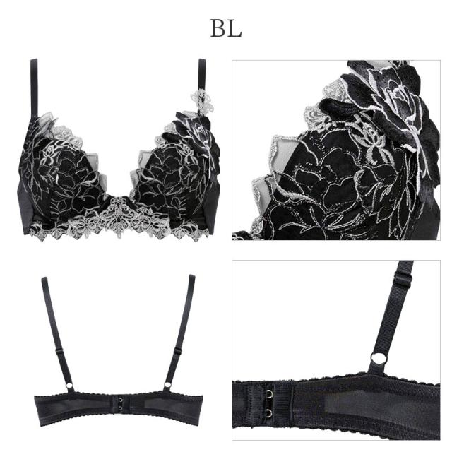 最新作 サルート 17 BS VIVALINEブラ&ソング(1枚) 12 ファッション 新作 サルート 17 BL VIVALINEブラ&ソング(1枚)