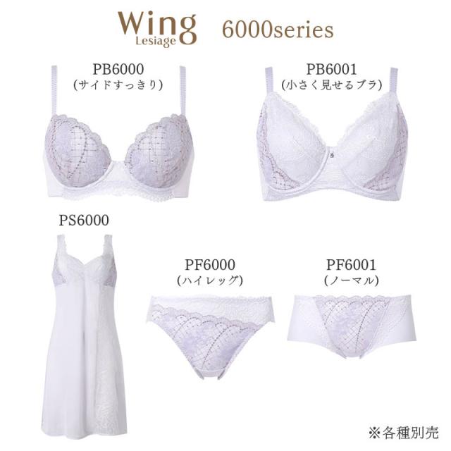 18 OFF ウイング レシアージュ 6000シリーズ ブラジャー フルカップ 小さく見せるブラ G PB6001の通販は - リバティハウス 通販サイト
