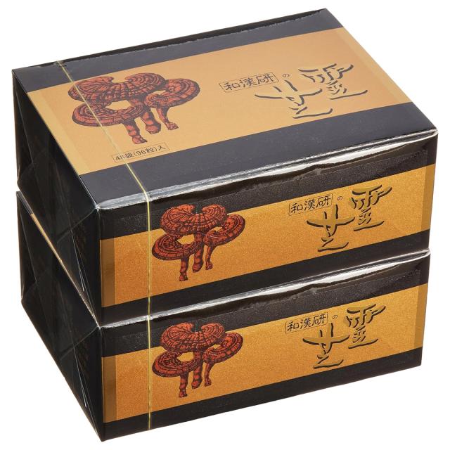 華ちゃん369さん専用】YOGINI FOOD 100 20袋入り