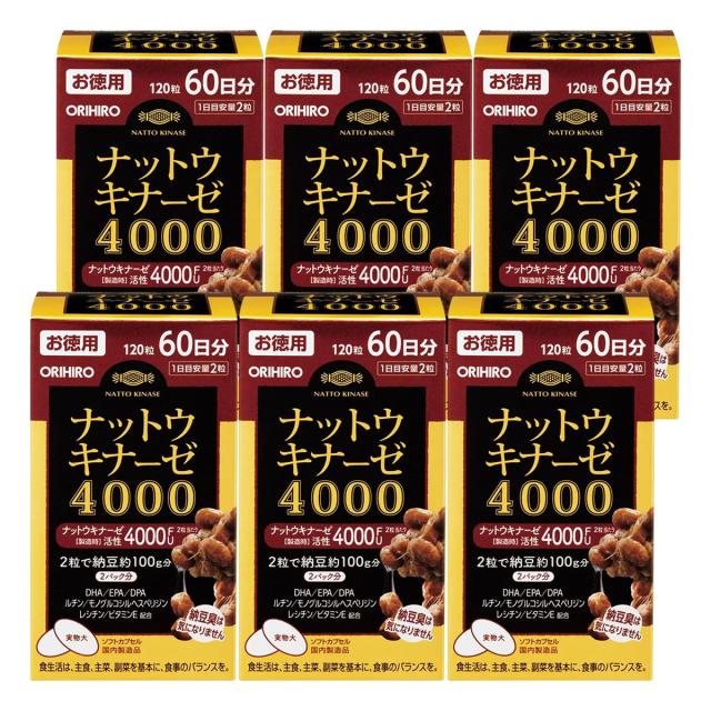 ナットウキナーゼ4000 60日分 120粒×6個セット