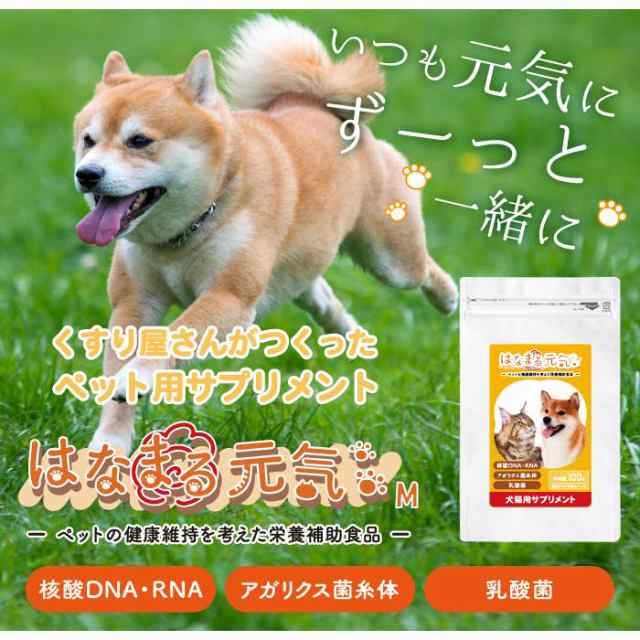 犬 猫 栄養補助サプリメント 100g www.krzysztofbialy.com