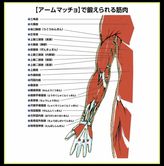 プッシュアップバー】 送料無料 筋トレグッズ リストトレーナー