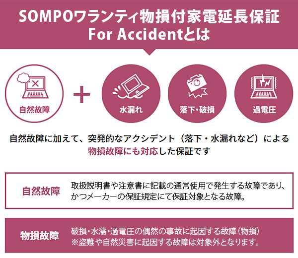 家電自然故障保証【5年に延長】250,001円～300,000円-