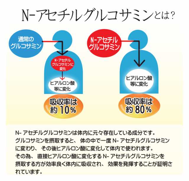 送料無料 スーパープロテオグリカン 話題のプロテオグリカン Msm Nアセチルグルコサミンを高配合 90粒 3袋セット の通販はau Pay マーケット 三共サプリ