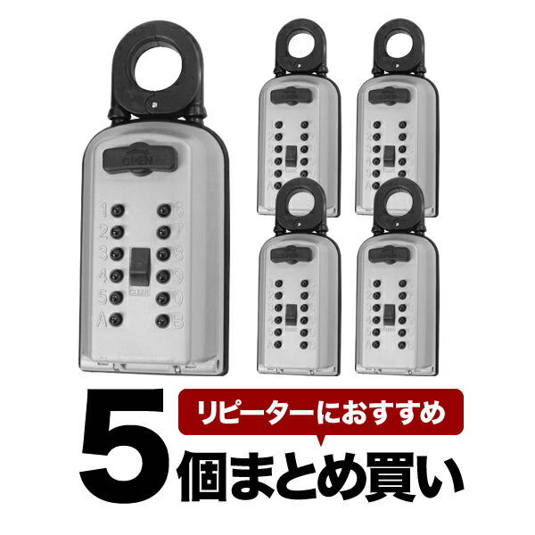 《 セット販売：5個 》キーボックス カギ番人 プラス [PC10] ケイデン 防犯 壁掛け 暗証番号 押しボタン式 頑丈 ステンレス
