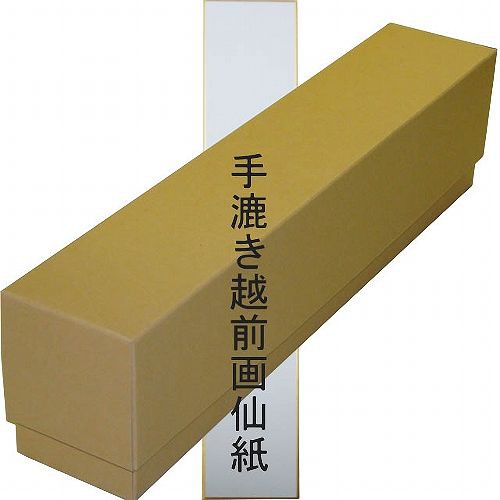  Yamation DTF Transfer Film Roll: 13inch 328 ft Premium