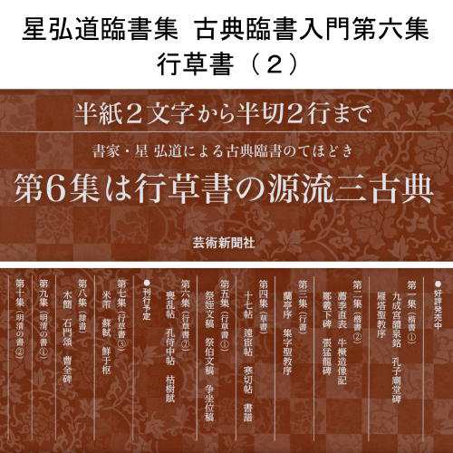 書道書籍 芸術新聞社 星弘道臨書集 古典臨書入門第六集 行草書 ２ 判64頁 メール便対応 書道テキスト 書道参考書籍の通販はau Pay マーケット 書道用品 和画材市場ユニカ