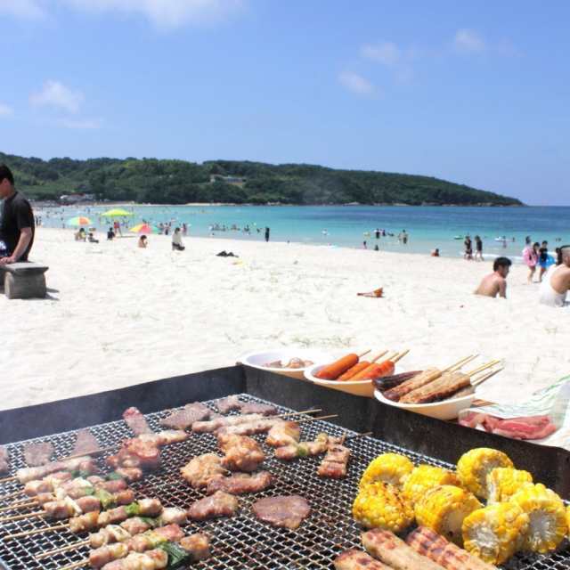 バーベキュー セット 食材 焼肉 BBQ 焼き鳥 豚バラ串 30g×300本