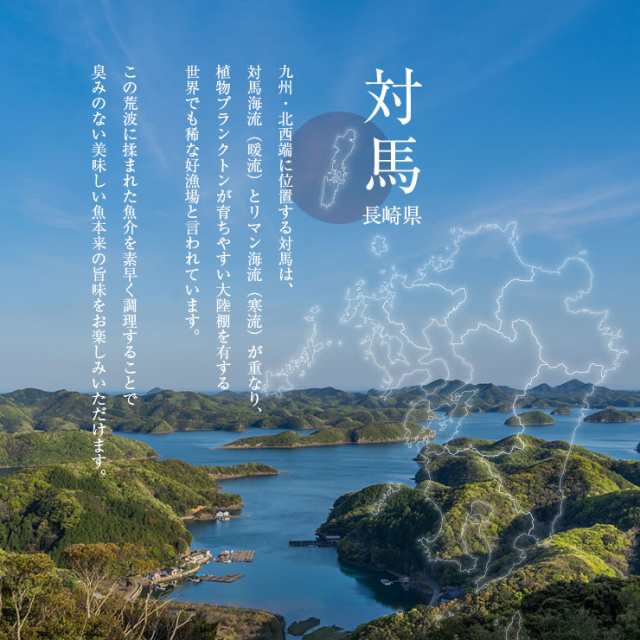 骨まで食べられる 焼き魚 干物 さば2枚 あじ2枚 かます1枚各50g ひもの 開き 干物セット 乾物 塩焼き 焼魚 グリル おつまみ 国産  長崎県｜au PAY マーケット